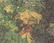 Vincent Van Gogh Entrance to a Quarry (nn04) painting